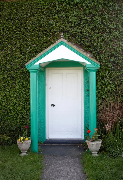 Osobliwy drzwi — Zdjęcie stockowe