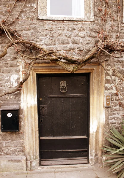 Uma velha porta decorativa de madeira — Fotografia de Stock