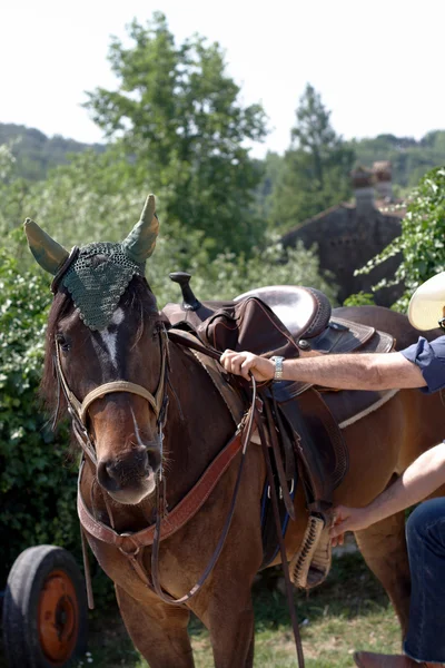 stock image A man about to sit on his horse