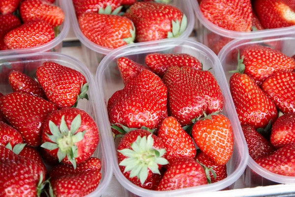 Erdbeeren zum Verkauf — Stockfoto