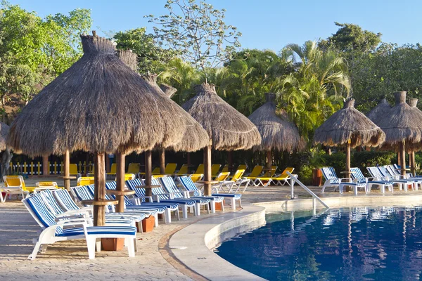 在一个热带的游泳池旁边的躺椅 免版税图库图片