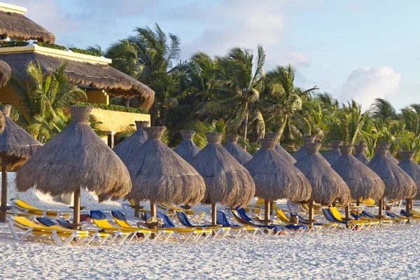 Ligstoelen en parasols op een tropisch strand Rechtenvrije Stockfoto's