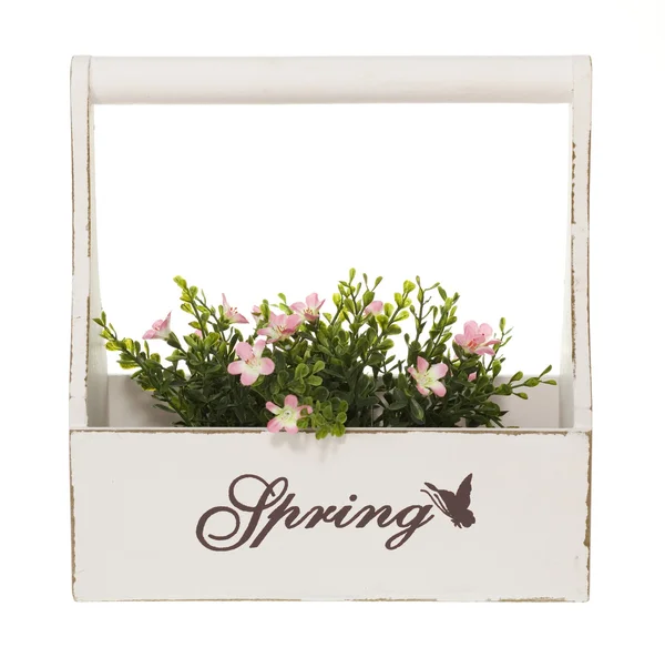 Plant Box with pink Flowers — Stock Photo, Image