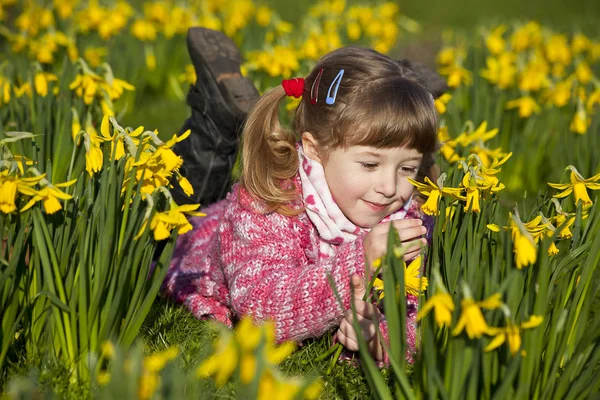 Girl and daffodils — Stock Photo, Image