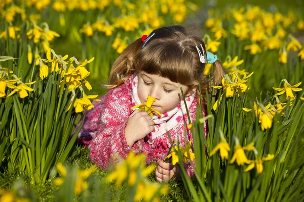 Girl and daffodils — Stock Photo, Image