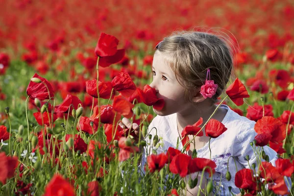 Girl on the poppy field — Stock Photo, Image