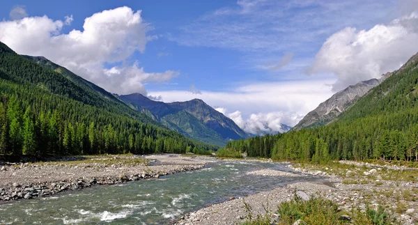 Floden i en Bergdal — Stockfoto