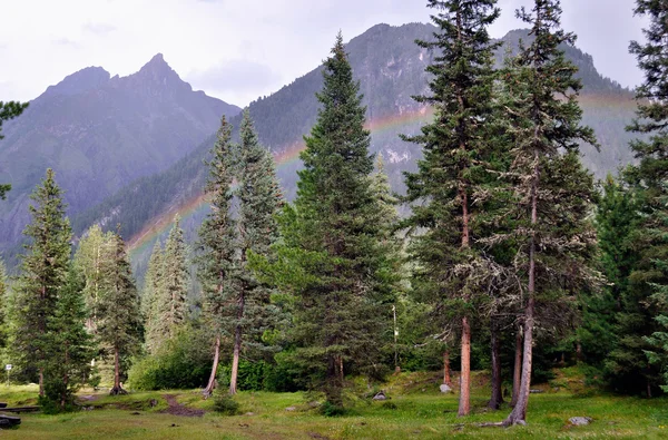 stock image Rainbow in the mountains