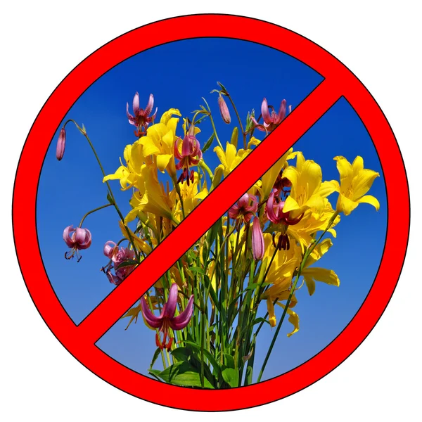 Do not pick flowers — Stock Photo, Image