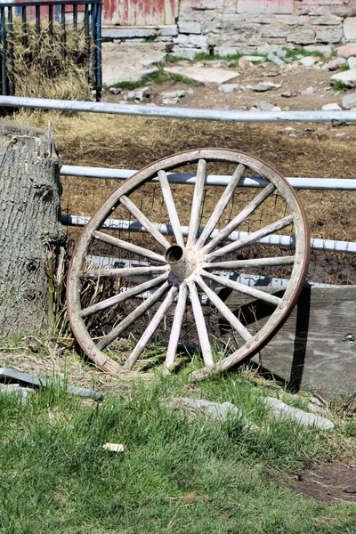Oude wagen-wiel — Stockfoto