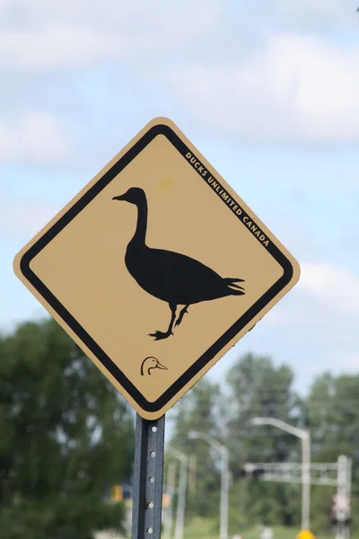 stock image Geese Crossing Sign