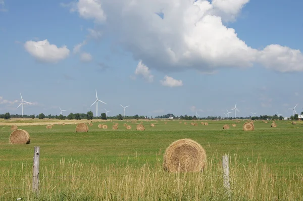 Vindkraftverk och hö balar i fältet — Stockfoto