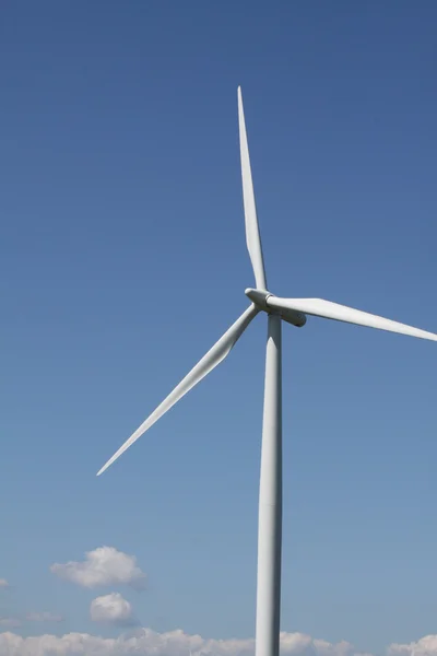 Turbina eolica iand campo di trifoglio — Foto Stock