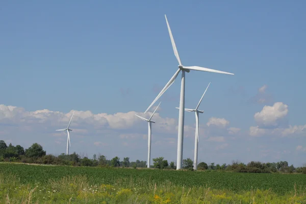 Vindkraft turbiner ioch fältet av klöver — Stockfoto