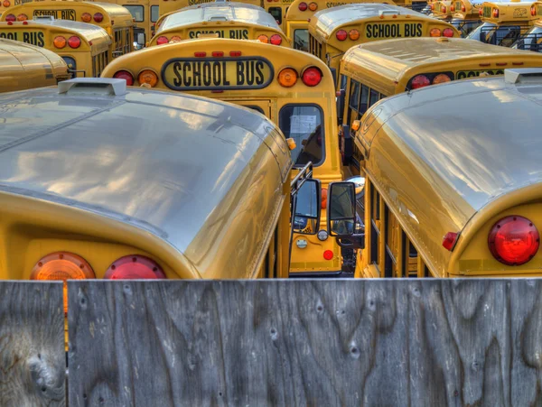 School bus parking lot — Stock Photo, Image