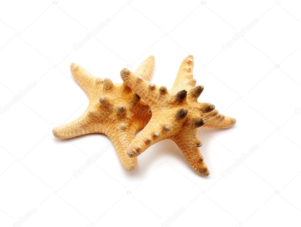 Spiked sea stars