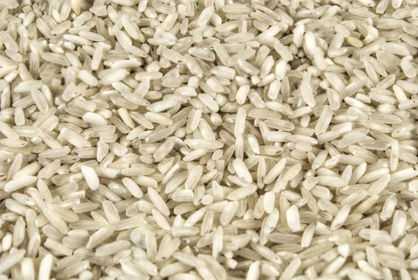 stock image Rice background.