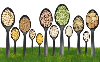 Legumes on a grass field clipart