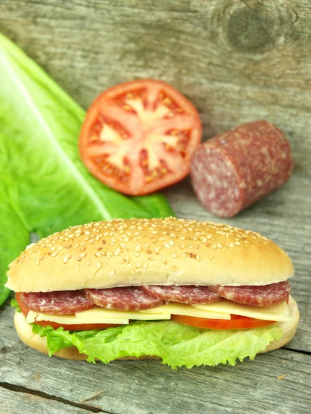 Sandwich with salami — Stock Photo, Image
