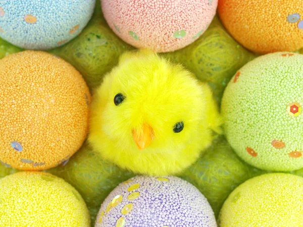 Huevos de Pascua y un pollo en una caja de huevos — Stok fotoğraf