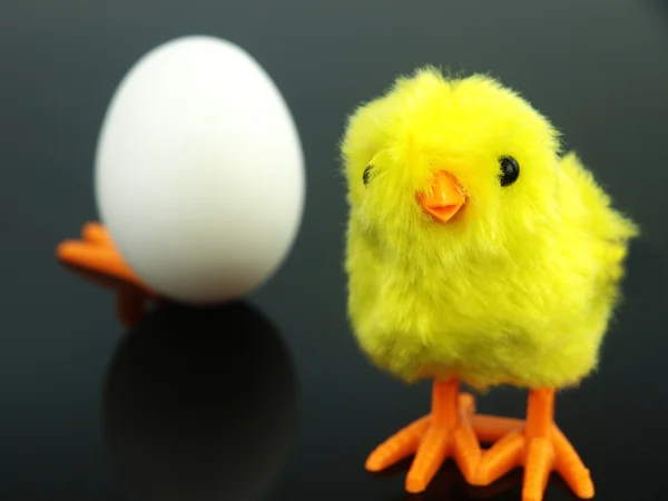 Poulet et œuf — Photo
