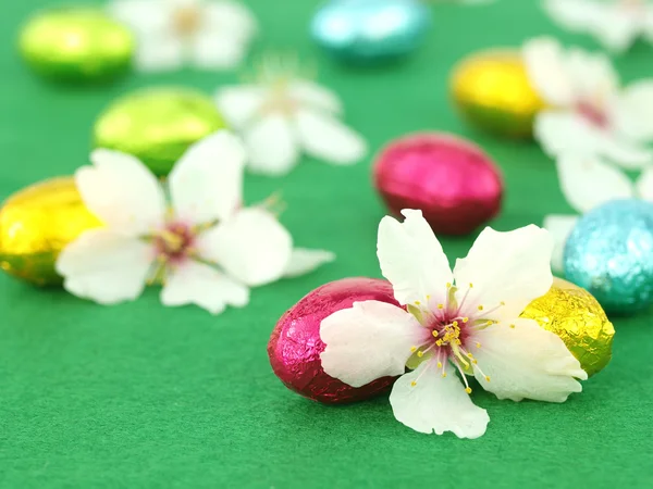 Cioccolato Uova di Pasqua con fiori primaverili — Foto Stock