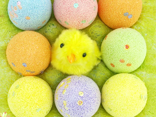 Uova di Pasqua e polli — Foto Stock
