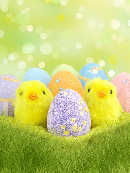 Velikonoční vajíčka a kuřata — Stock fotografie