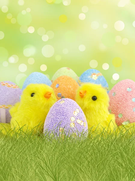 Pasen eieren en kippen — Stockfoto