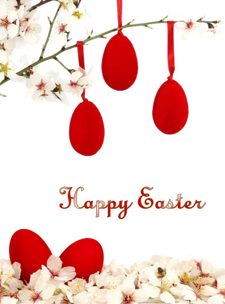 Huevos de Pascua y flores blancas de primavera — Foto de Stock