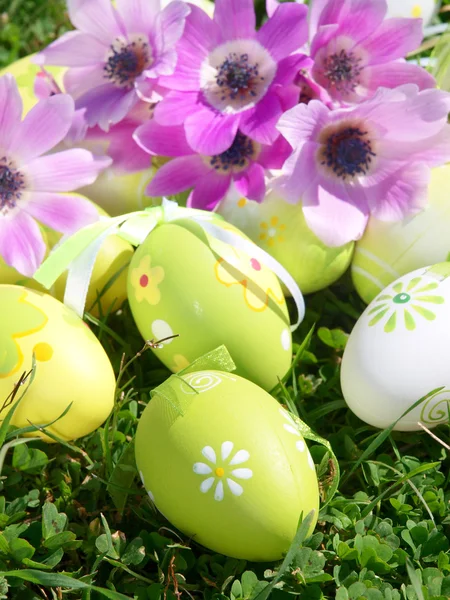 Fiori primaverili e uova di Pasqua — Foto Stock