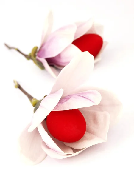 Paskalya yumurtaları içinde bahar çiçekleri — Stok fotoğraf