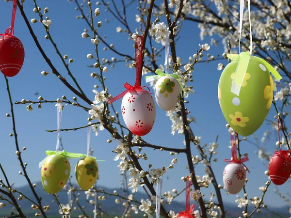 Ovos de Páscoa na árvore — Fotografia de Stock