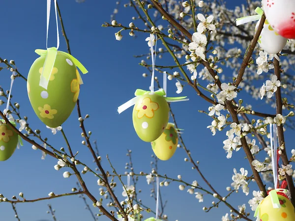 Huevos de Pascua en árbol — Foto de Stock