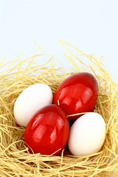 Ovos vermelhos orientais — Fotografia de Stock