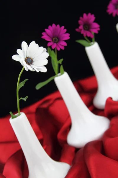 Vasos brancos com flores de margarida — Fotografia de Stock