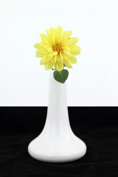 Vaso branco com flor amarela dahlia — Fotografia de Stock