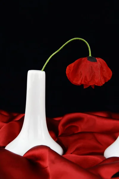 Witte vaas met poppy bloem — Stockfoto