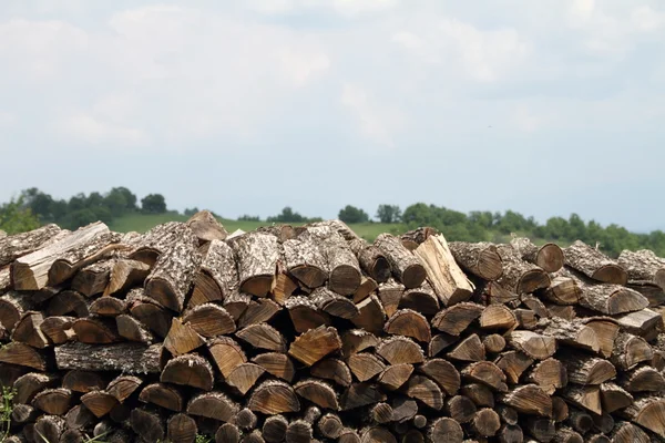 Close up of stacks of chopped logs — Stock Photo, Image