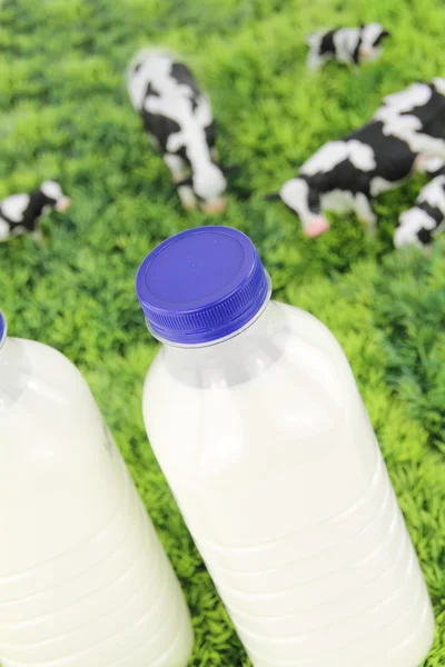 Bottles of milk with a farm on background — Stock Photo, Image