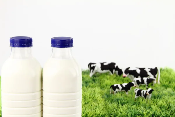 Garrafas de leite com uma fazenda no fundo — Fotografia de Stock