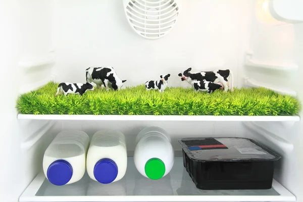 鮮度のコンセプトです。冷蔵庫の中の牛とフィールド — ストック写真