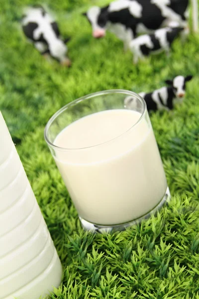 Glass of milk with a farm on background — Stock Photo, Image