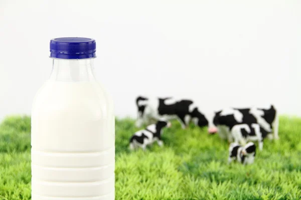 Bottle of milk with a farm on background — Stock Photo, Image