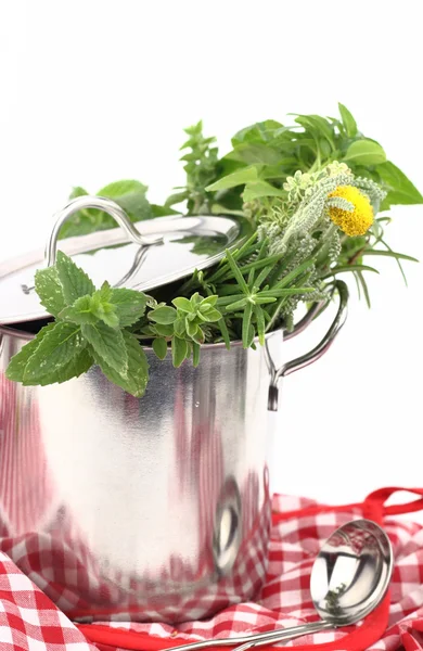Cozinhar com ervas e especiarias — Fotografia de Stock