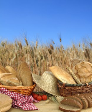 ekmek buğday alanı önünde türleri