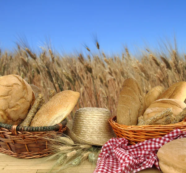 Ekmek buğday alanı önünde türleri — Stok fotoğraf