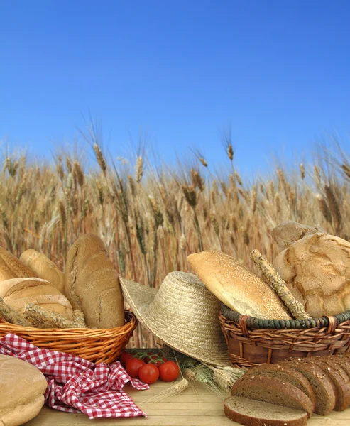 Various types of bread in front of a wheat field — Stock Photo, Image