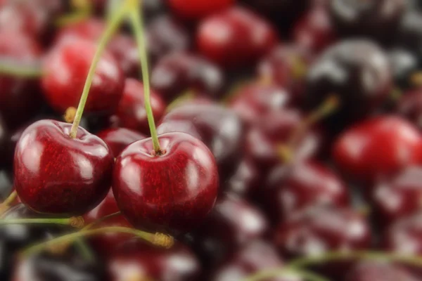 Cherries over a blurred background — Stock Photo, Image