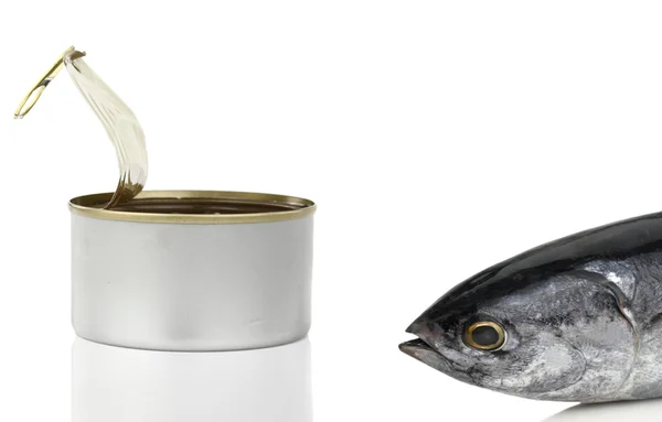 Рыба тунца перед баночкой — стоковое фото